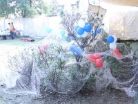 SMURF-NET-EFFECT